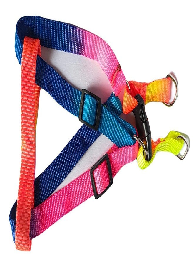 RoverPets Rainbow Design Harness and Leash Set for Small Dogs & Puppies - 15mm Adjustable Soft Strap Set for Mini Breeds - Comfortable & Lightweight Pet Walking Set - Image 3